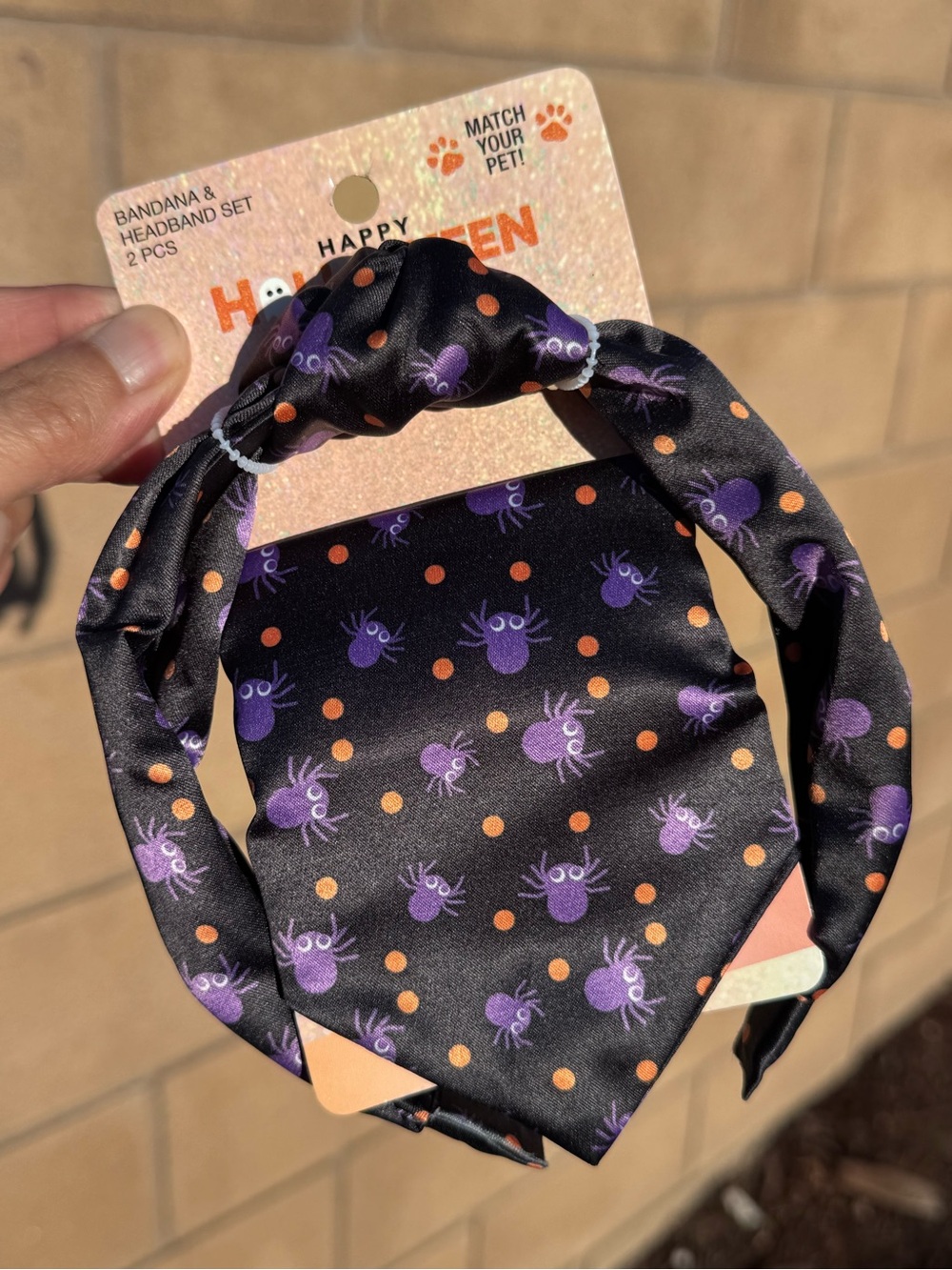 Pet mom Halloween match your pet bandanna and headband